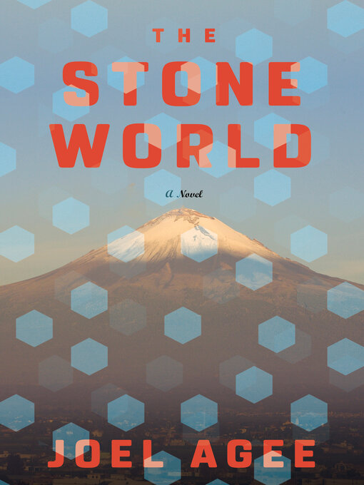 Title details for The Stone World by Joel Agee - Available